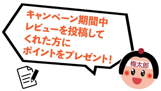 キャンペーン レビュー