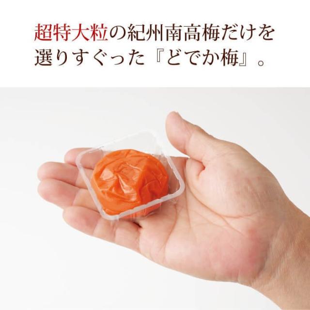 どでか梅