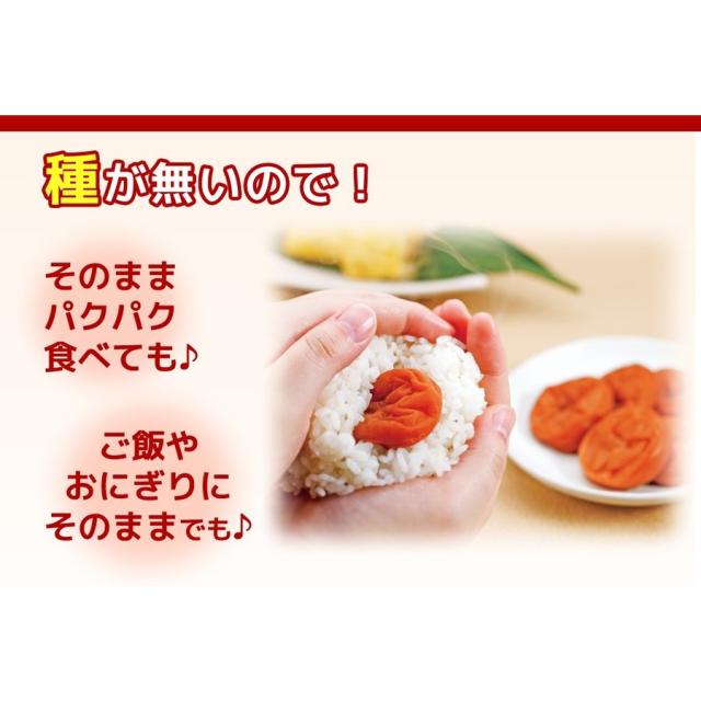 種無し 南高梅 種ぬき はちみつ梅