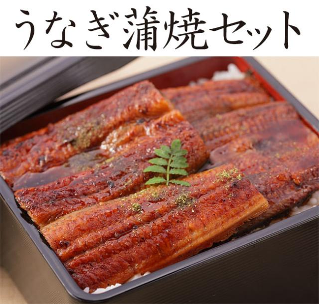 うなぎ蒲焼セット