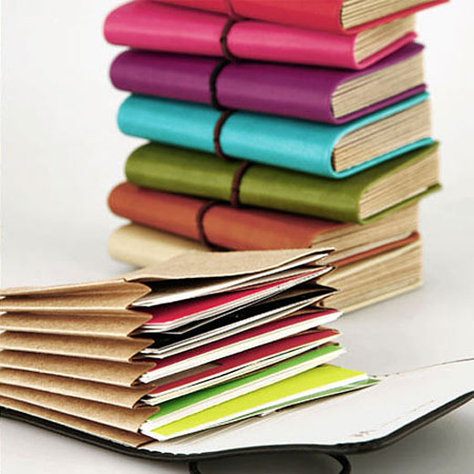 HIGHTID ハイタイド パヴォ カードホルダー 選べる10色 / カードケース カードファイル