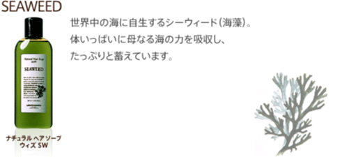 シーウィード