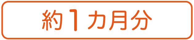 無臭習慣1袋