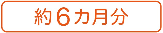 無臭習慣6袋セット