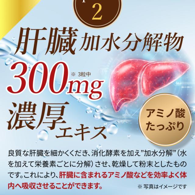 アミノ酸たっぷり肝臓加水分解物300mg