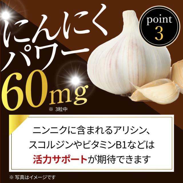 にんにくパワー60mg