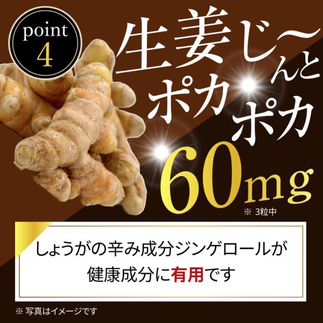 生姜じーんとポカポカ60mg