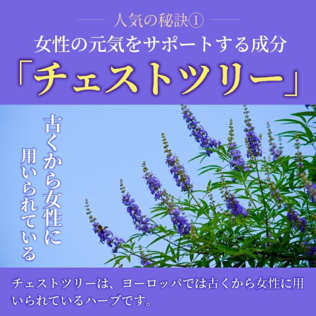 チェストツリー