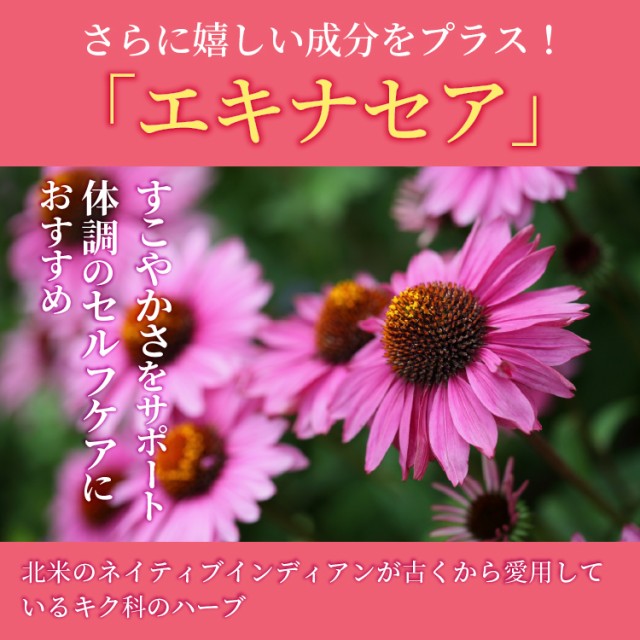 エキナセナ