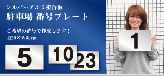 シルバー番号プレート