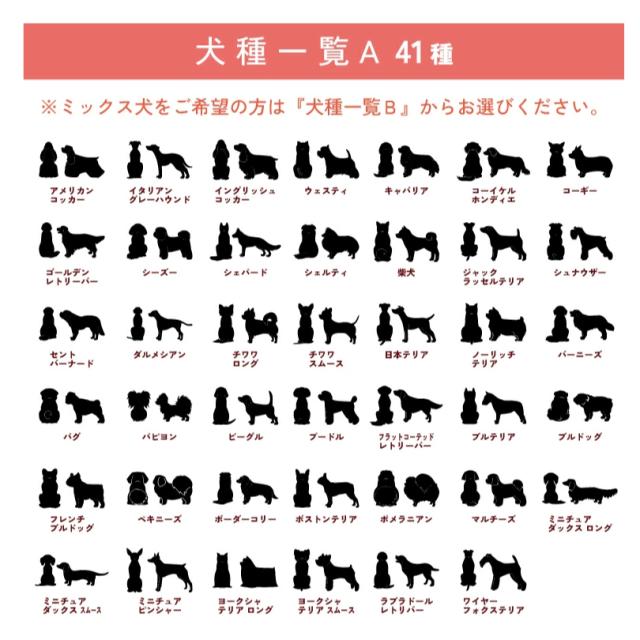 お名前プレート