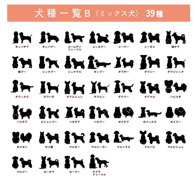 カート用プレート