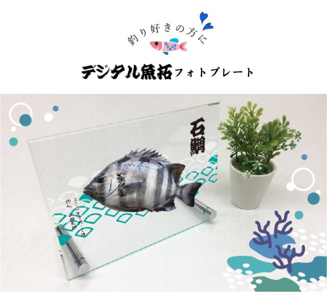 フォトフレーム 釣果記念