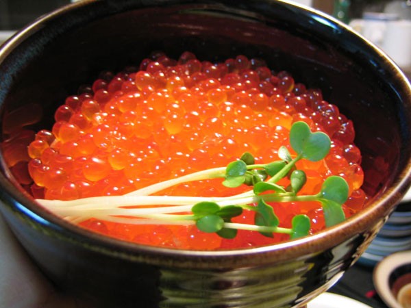 いくら醤油漬 500g 北海道産イクラ - www.spandyandy.com