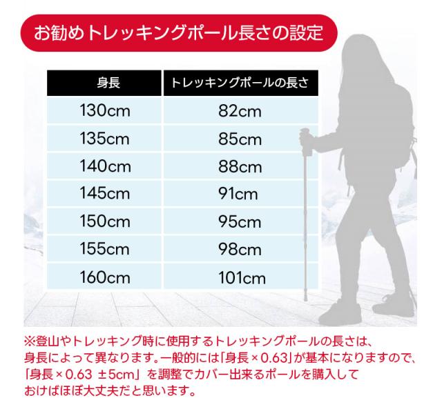 トレッキングポール