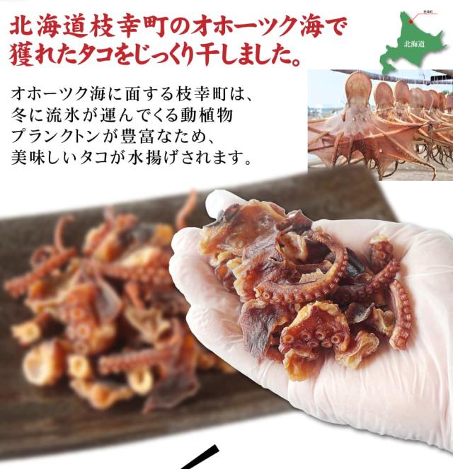 北海道枝幸町のタコ