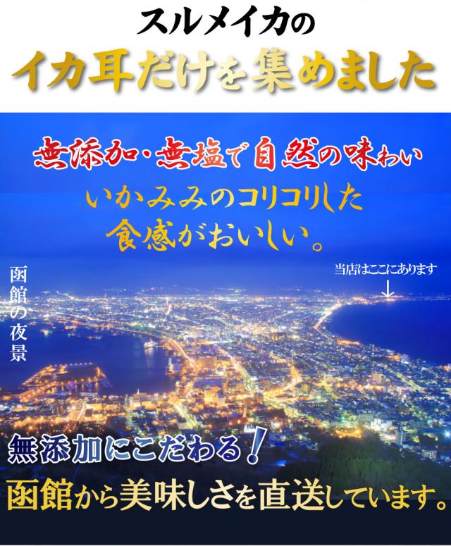 するめいかの耳