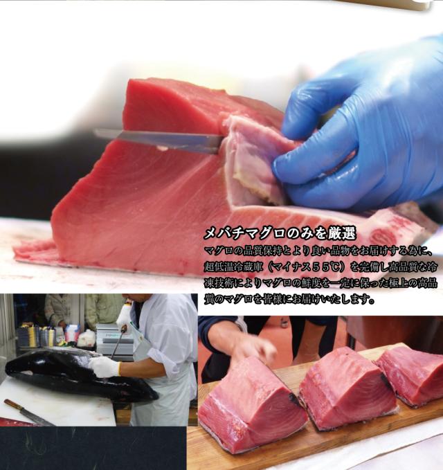 メバチマグロを厳選