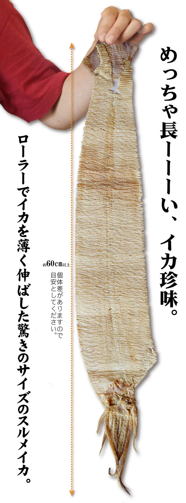 驚きサイズのするめ