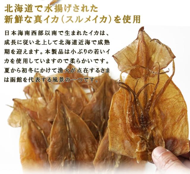 スルメイカを使用