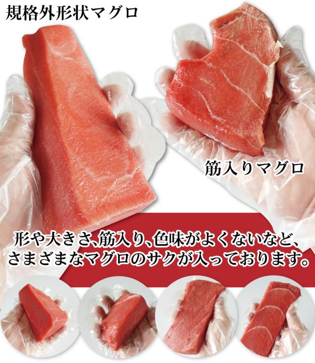 本マグロ、メバチマグロ混在