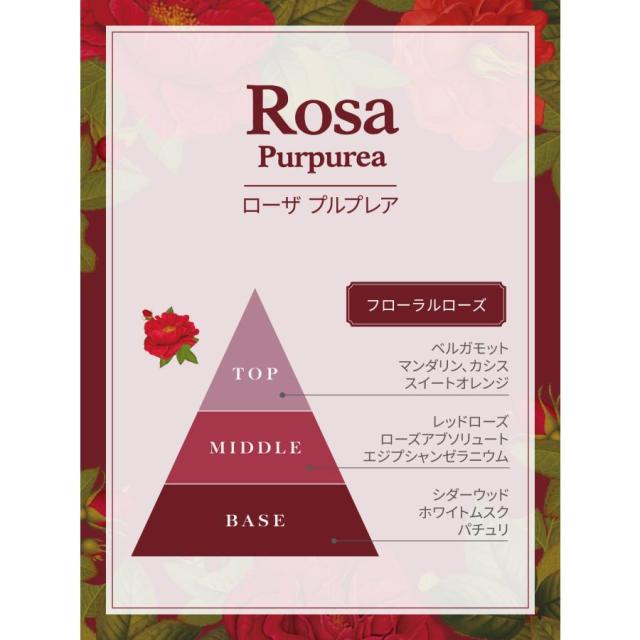 Rosa Purpurea  パフューム　50ml