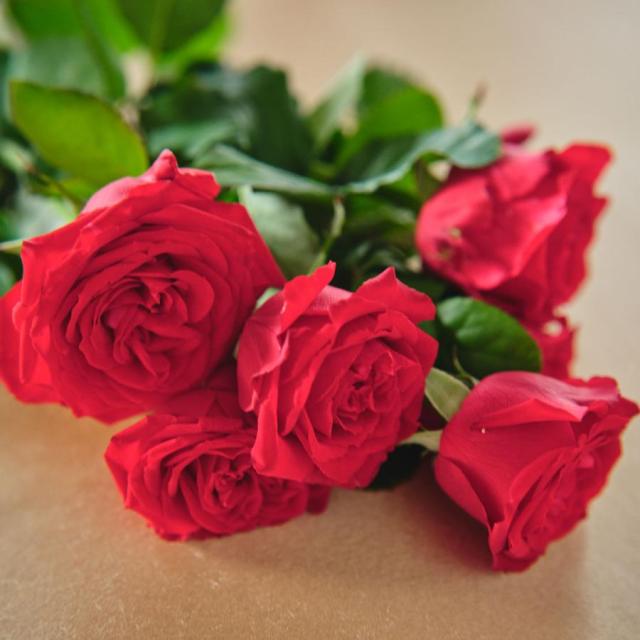 Rosa Purpurea  パフューム　50ml