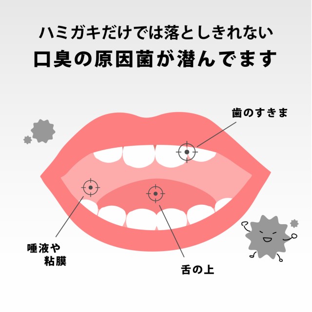 デンタルスパ Pro