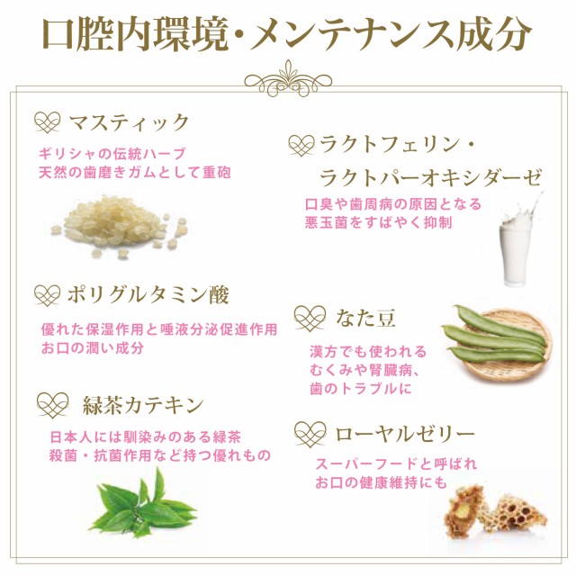 デンタルスパ Pro