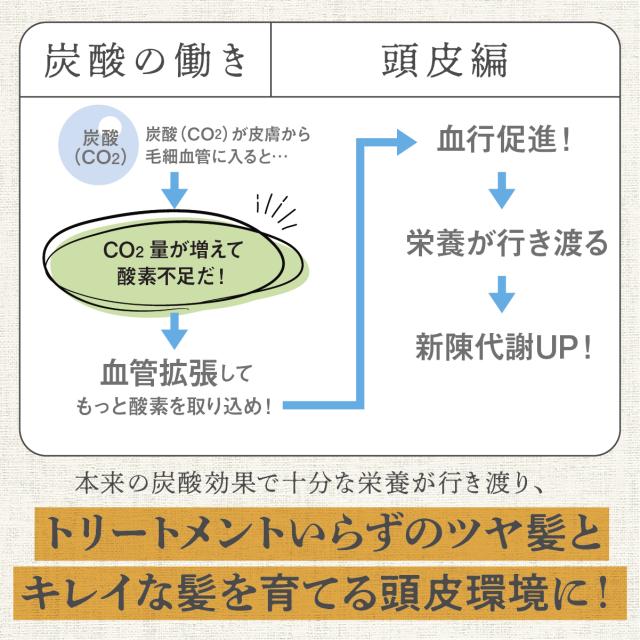 TANSANメディックシャンプー