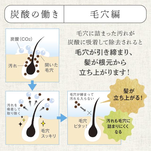 TANSANメディックシャンプー