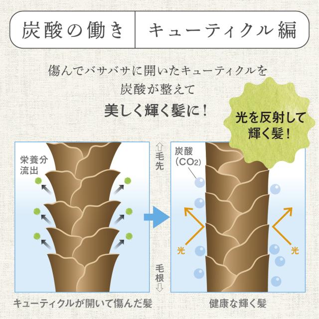 TANSANメディックシャンプー