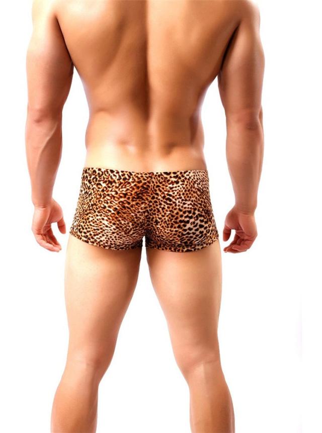 ボクサーパンツ