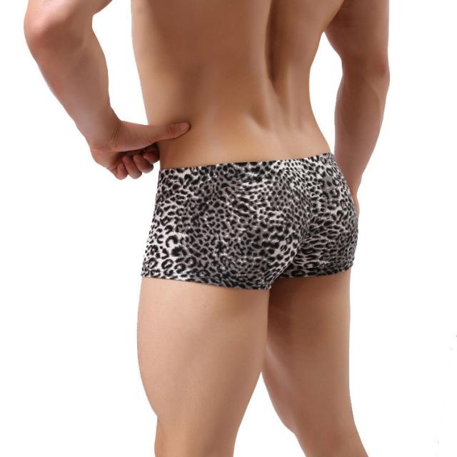 ボクサーパンツ