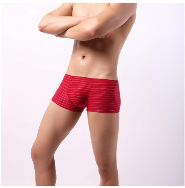 ボクサーパンツ