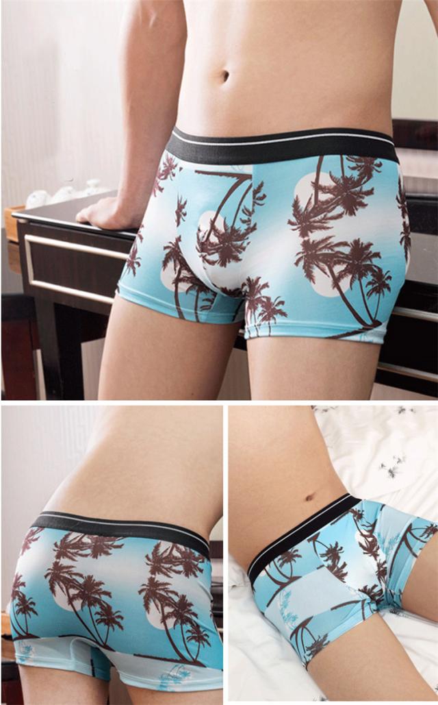 ボクサーパンツ