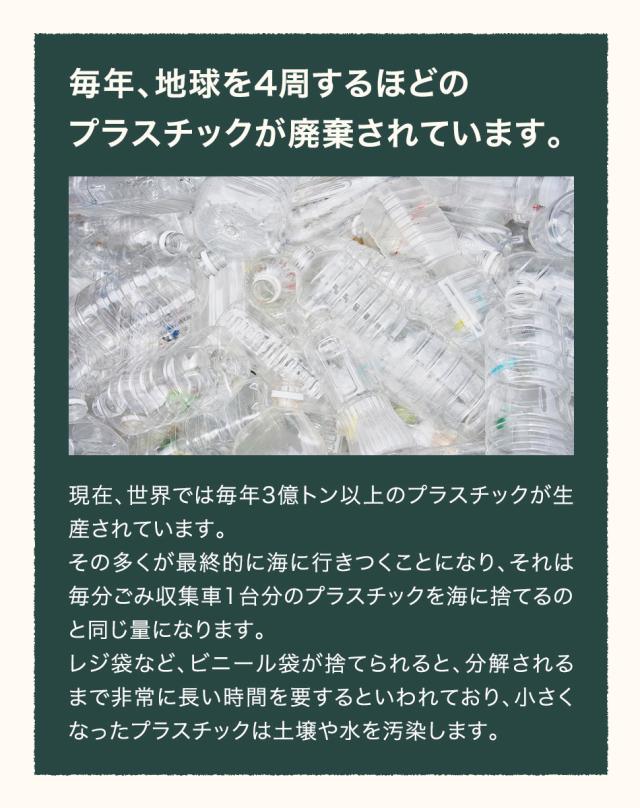 KIND BAG カインドバッグ エコバッグ ウィリアム・モリス 折りたたみ コンパクト レジ袋 洗える ナイロントートバッグ 買い物袋