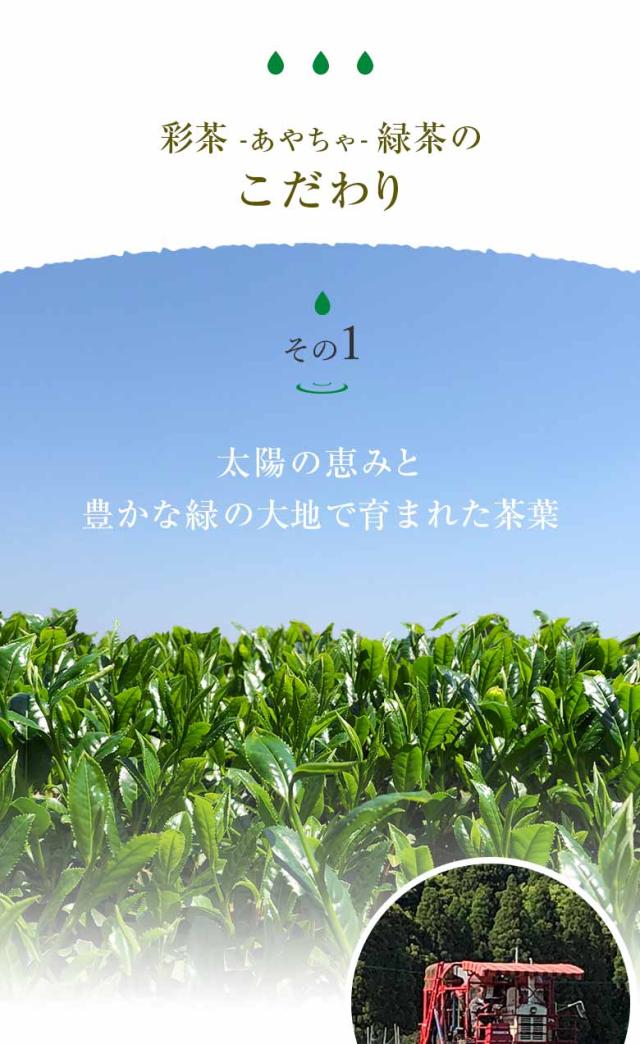彩茶 -あやちゃ- 緑茶