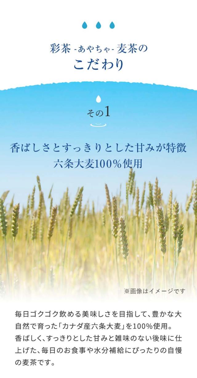 彩茶 -あやちゃ- 麦茶