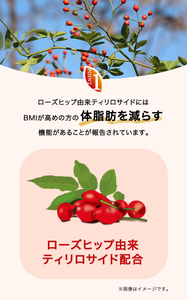 つづけるプラス 黒烏龍茶