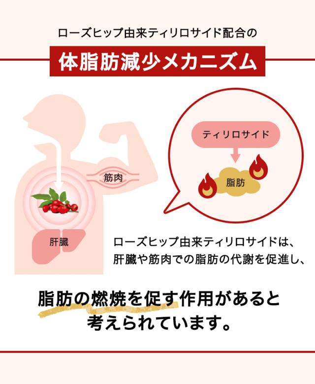 つづけるプラス 黒烏龍茶