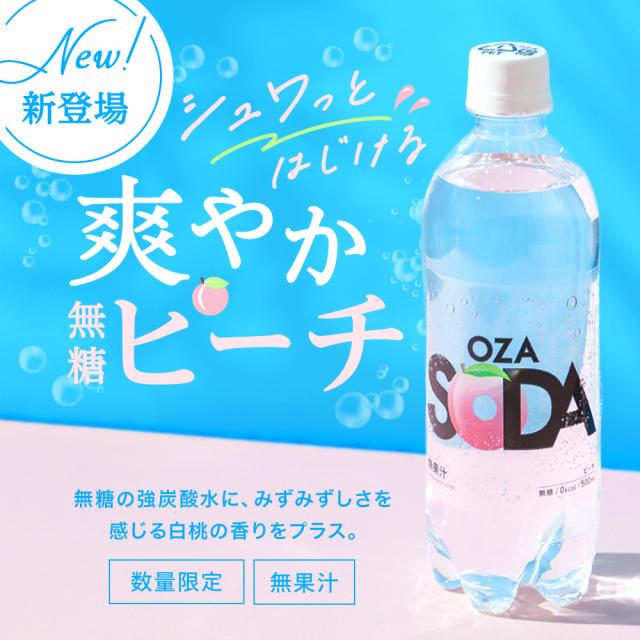 OZA SODA シリカ