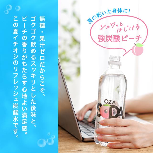 OZA SODA シリカ