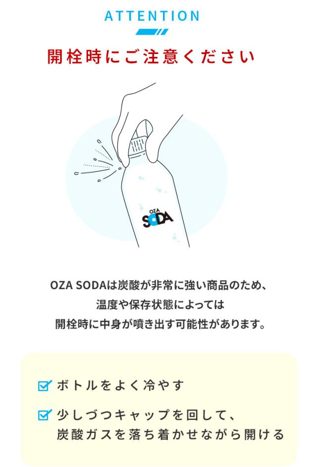 OZA SODA シリカ