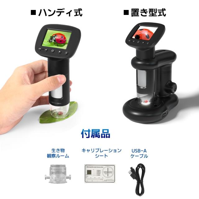 小学生 自由研究