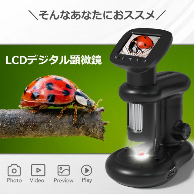 1000倍 500倍 倍率 顕微鏡