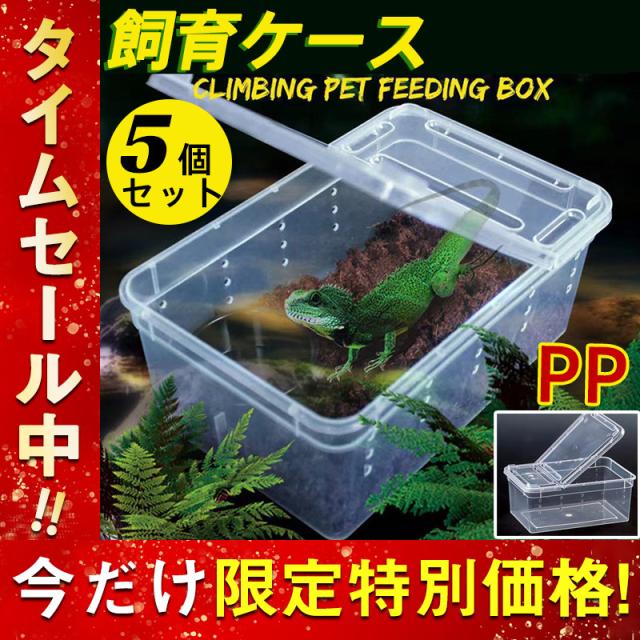 お徳用 飼育ケース 5個セット 飼育ケージ 飼育容器 ミニケース マルチ