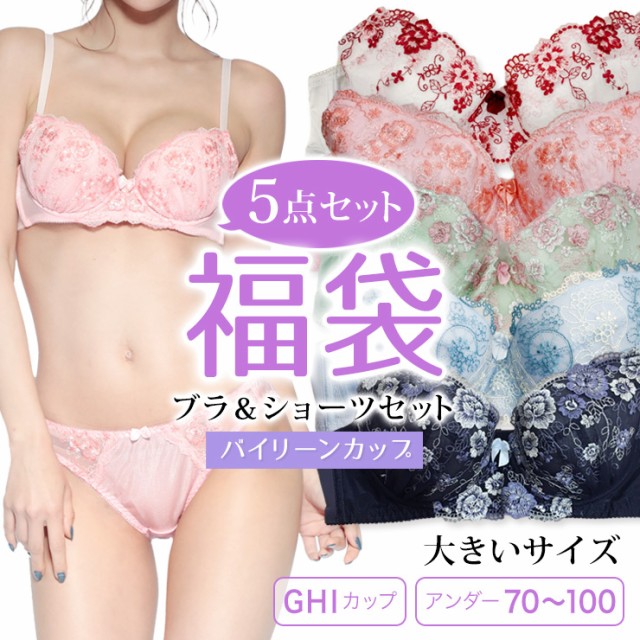 大きいサイズ ブラショーツセット 福袋 レディース 5点入り