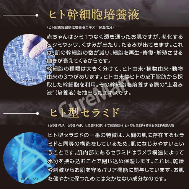 ヒト幹細胞配合 クレンジング洗顔