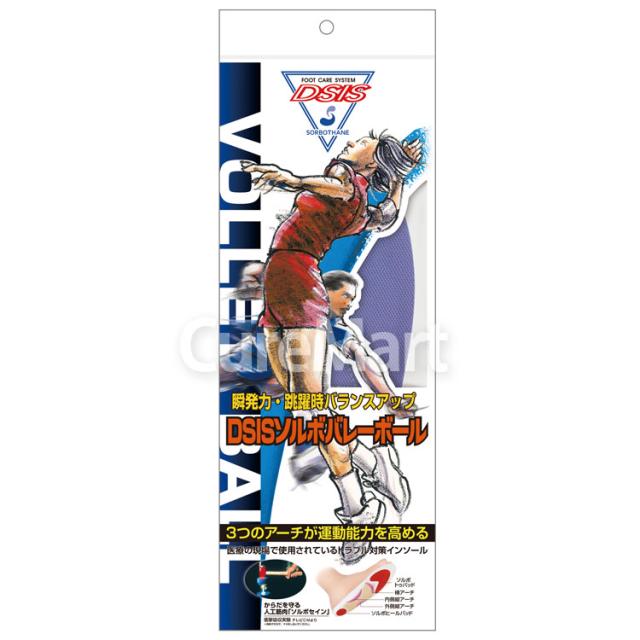 DSIS ソルボ バレーボール